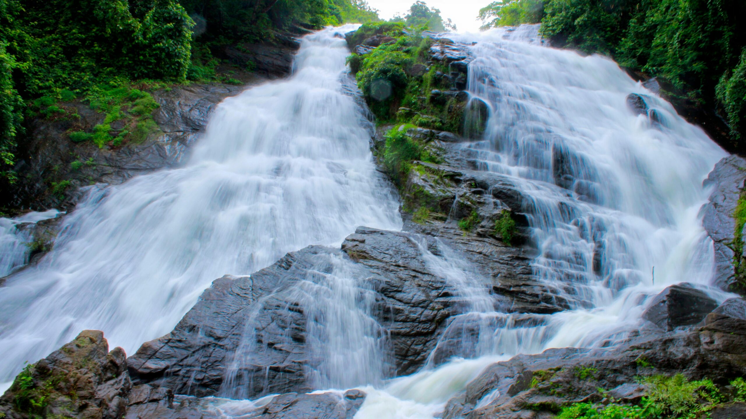 A stunning waterfall flows through vibrant green foliage in a natural forest setting.