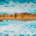 Captivating view of a marshland reflecting in water, under a vibrant blue sky in Namibia's Omaheke Region.