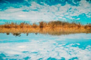 Captivating view of a marshland reflecting in water, under a vibrant blue sky in Namibia's Omaheke Region.
