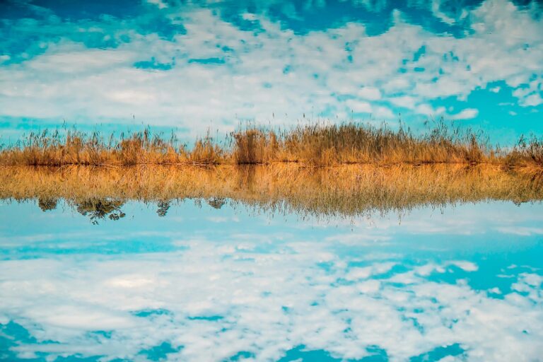 Captivating view of a marshland reflecting in water, under a vibrant blue sky in Namibia's Omaheke Region.
